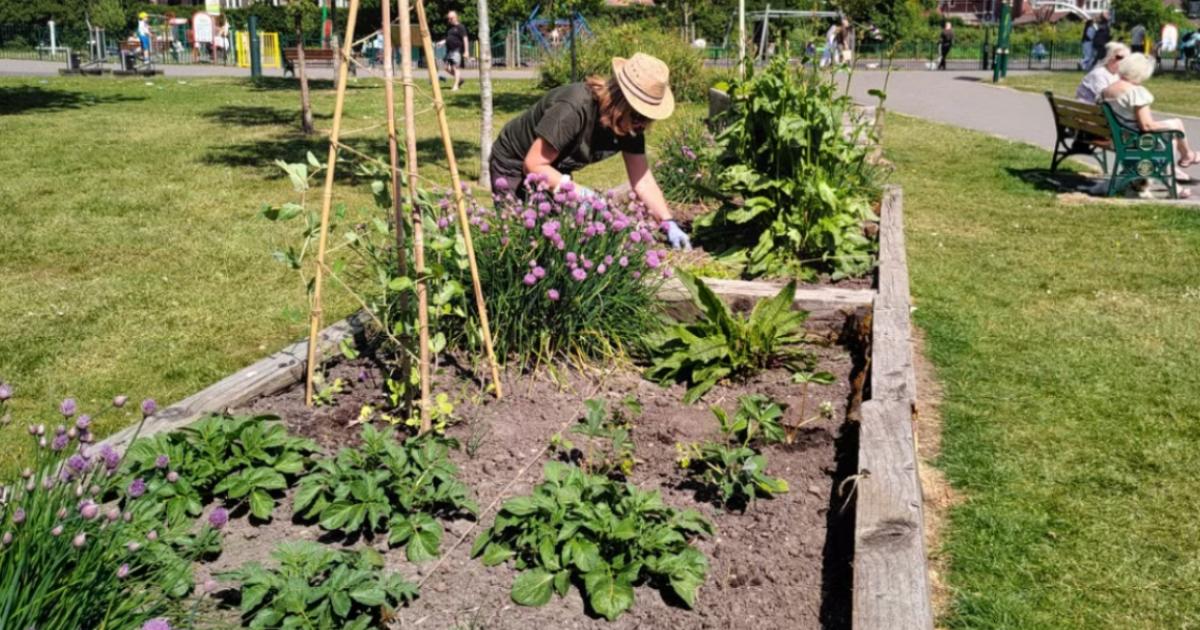 Neighbours transform unused land to grow food in Ramsbottom
