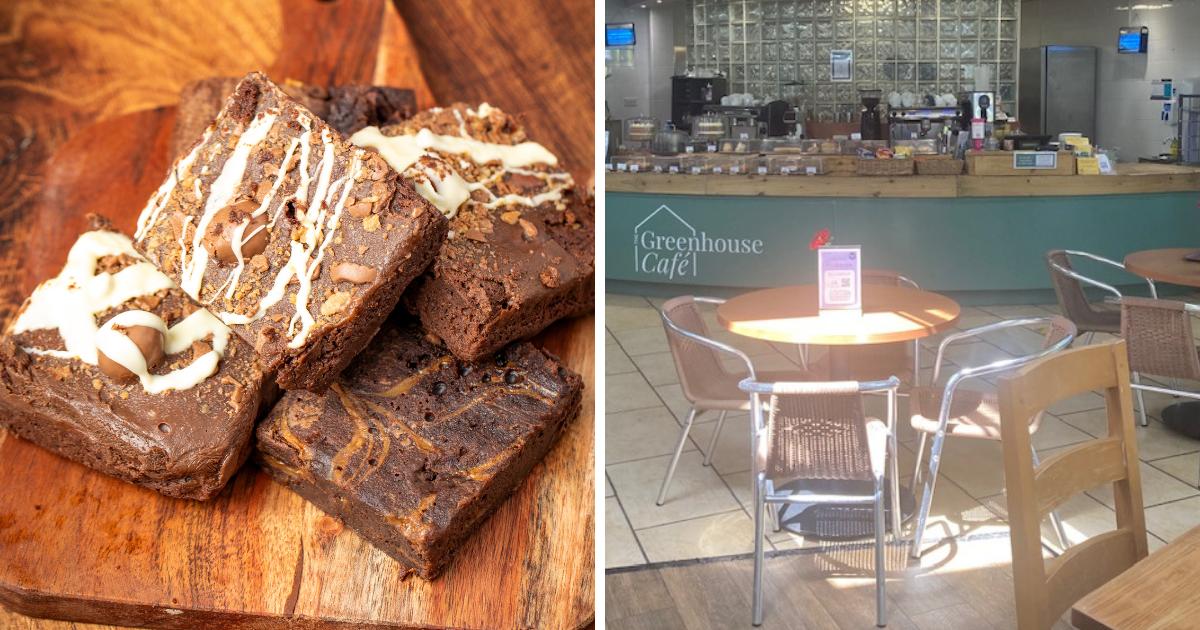 Garden centre cafe revealed as Cafe of the Year 2025