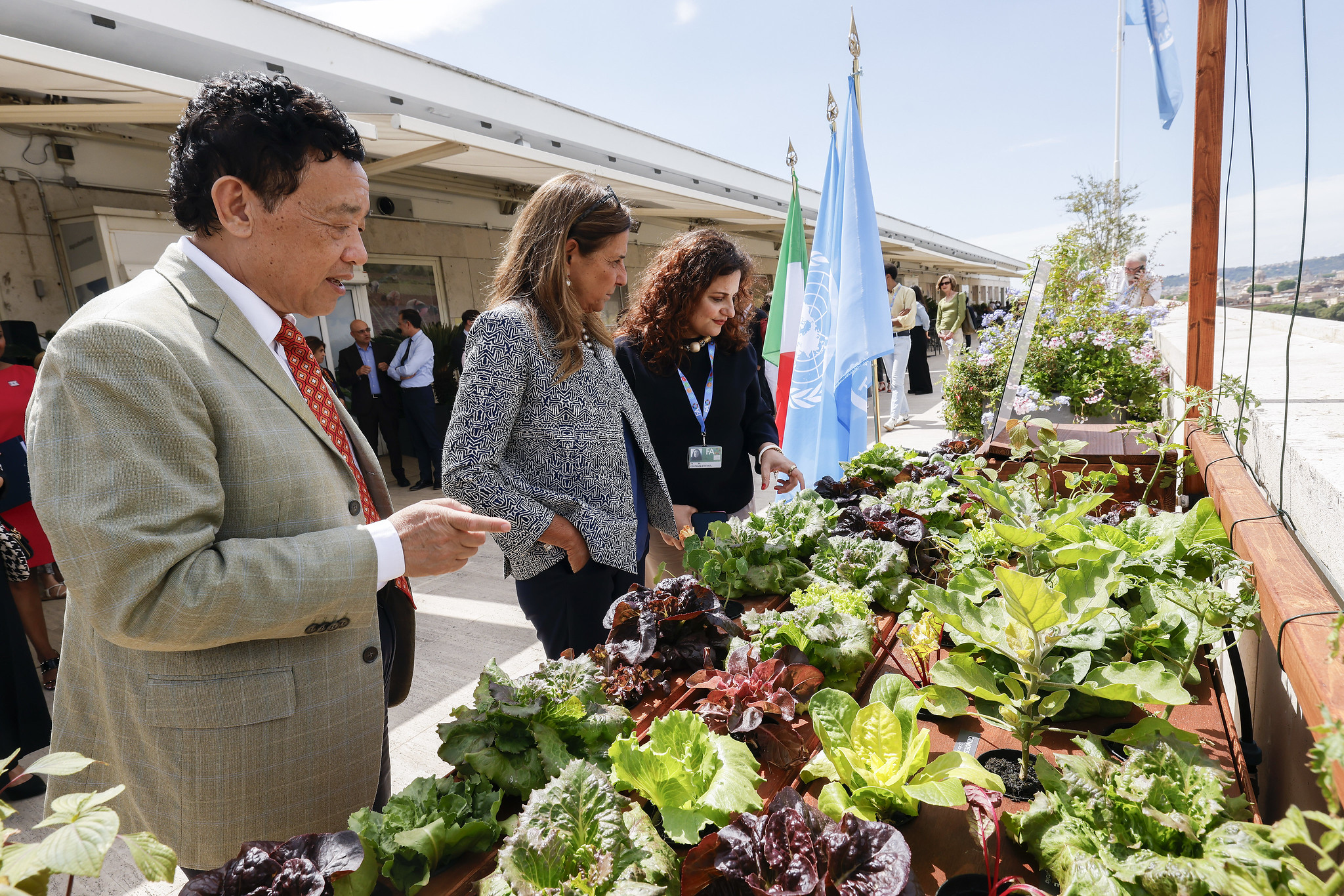 New hydroponic garden paves the way for experimentation on better resource management in soil-less agriculture