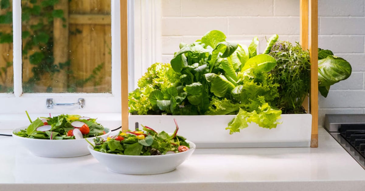 8 Best Indoor Garden Systems of 2025