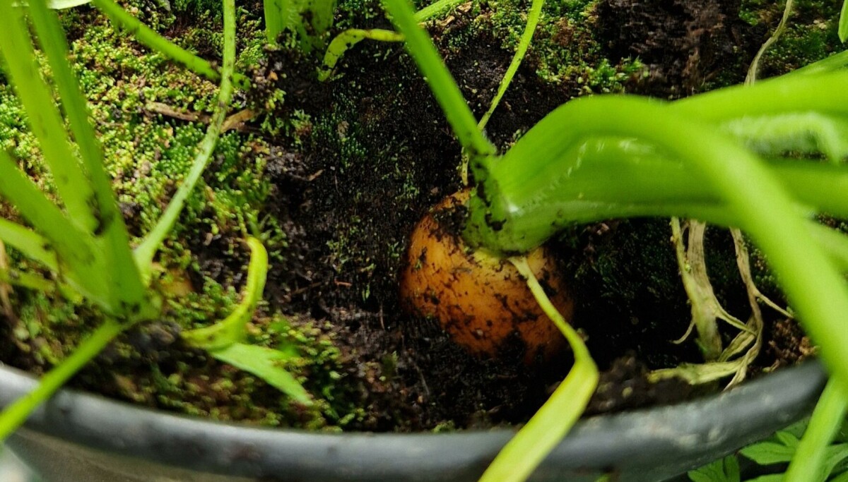 ‘It’s not too late to start now’