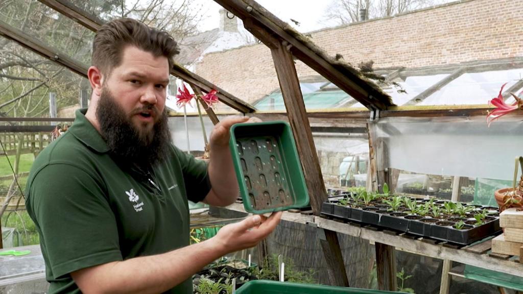 How to grow your own vegetables…