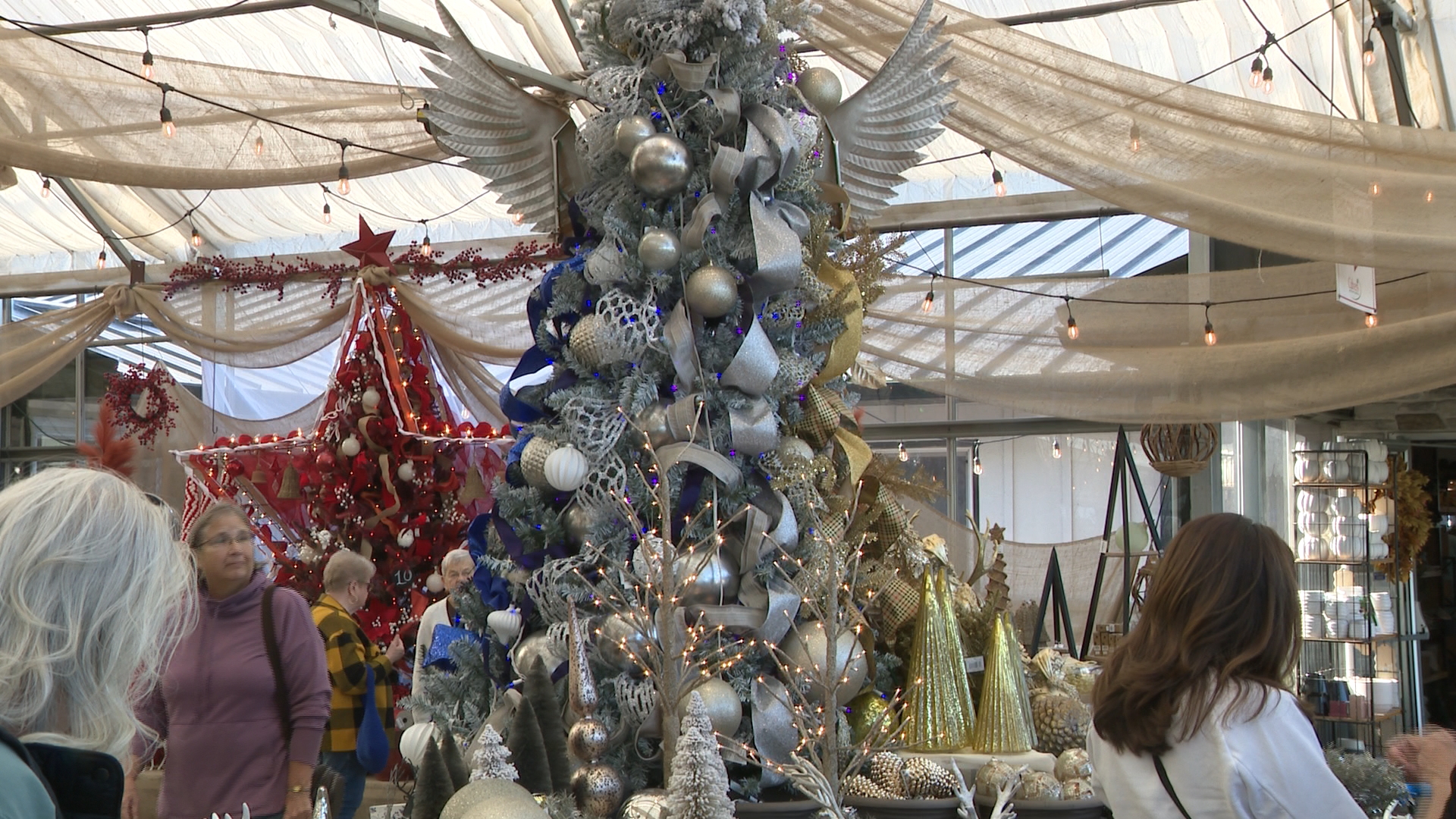 Culverโs Garden Center unveils ‘Mystical Winter Wonderlandโ