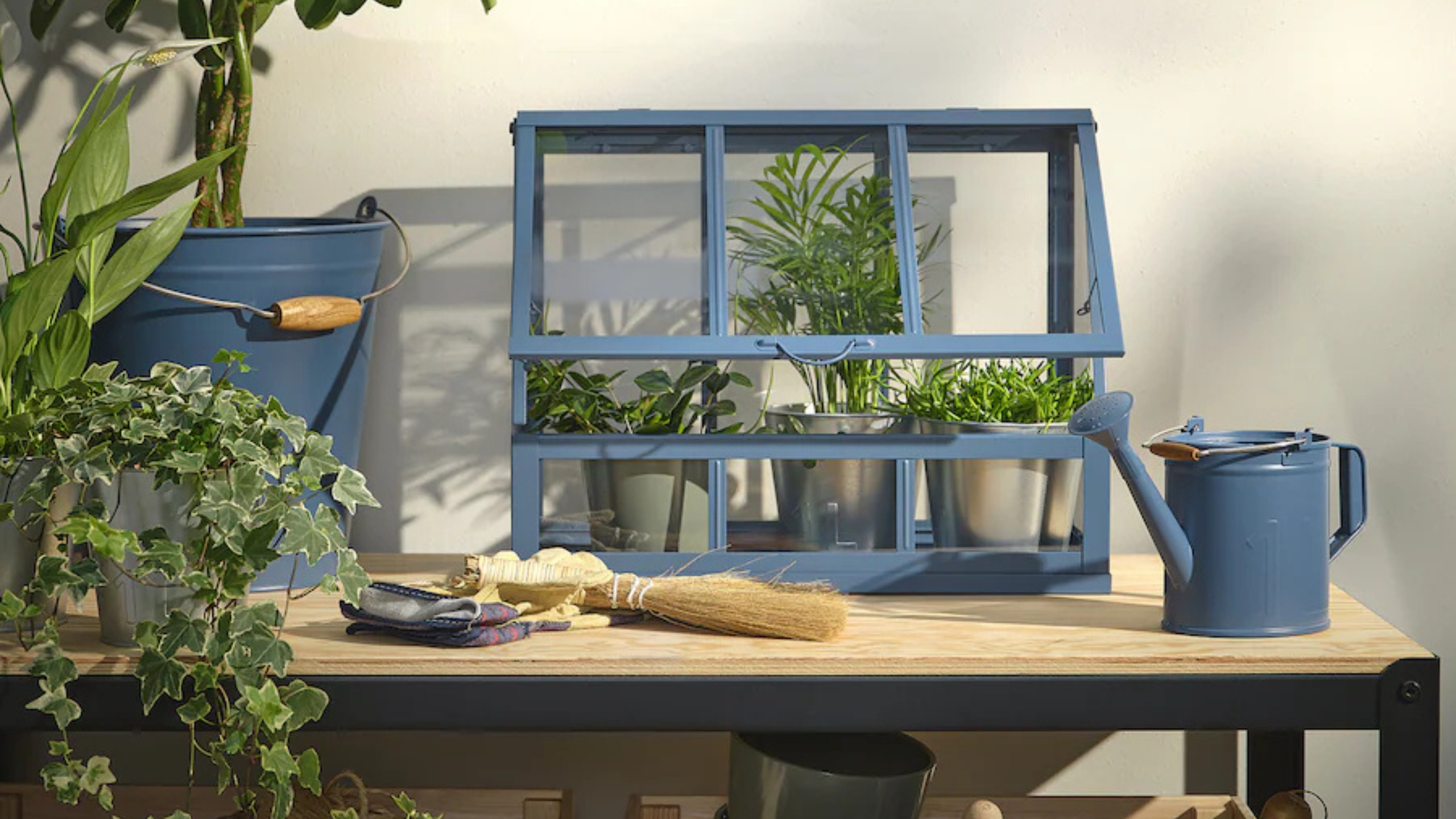 IKEA’s £15 mini greenhouse has a stunning new colourway