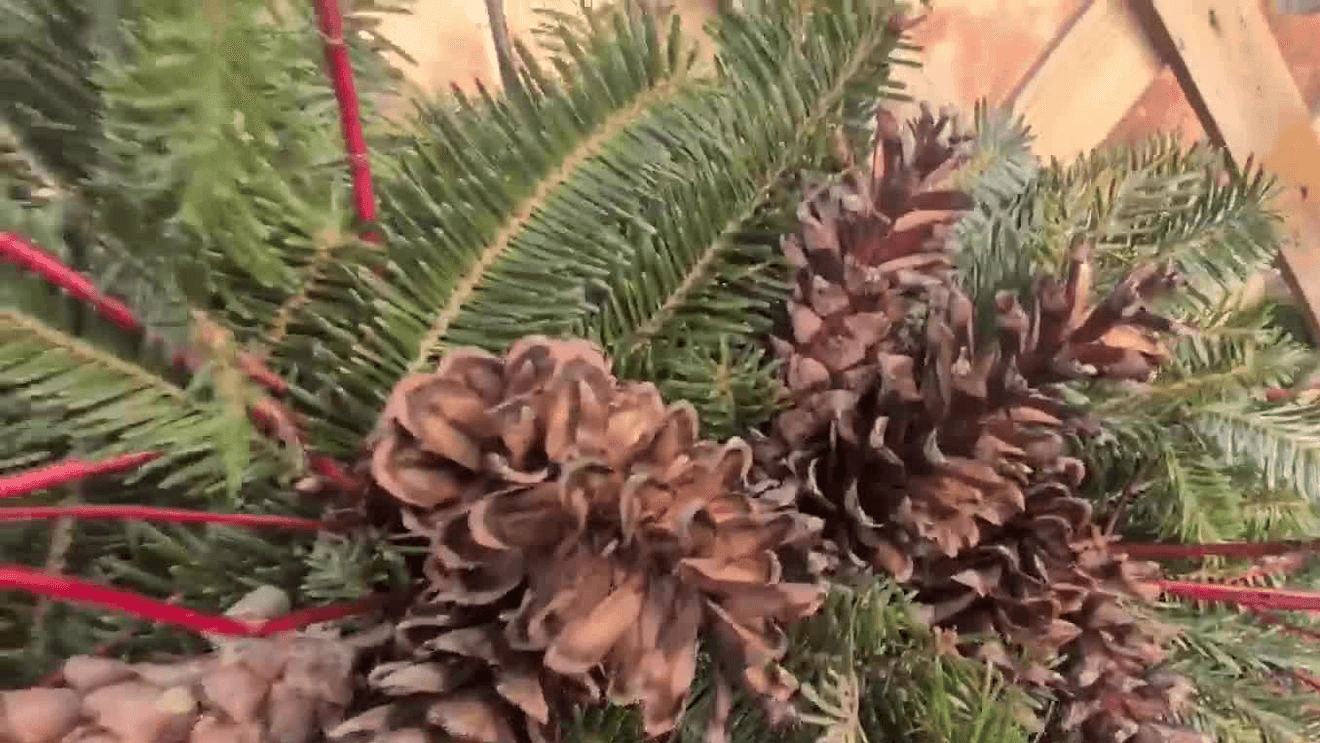 Making winter arrangements with Carol Watson Greenhouse!