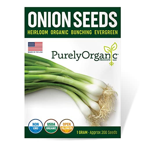 Organic Onion Seeds (Bunching Evergreen) – Approx 200 Seeds – USDA Organic, Non-GMO, Open Pollinated, Heirloom, USA Origin