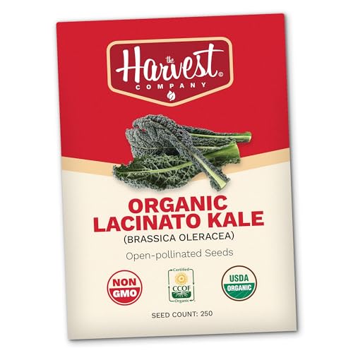 The Harvest Company Organic Lacinato Kale Seeds, Non-GMO, Certified USDA Organic, Open-Pollinated Garden Seeds for Indoor Outdoor Planting, 250 Count Pack