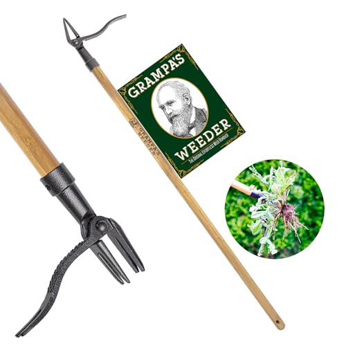 Grampa’s Weeder – The Original Stand Up Weed Puller Tool with Long Handle – Made with Real Bamboo & 4-Claw Steel Head Design – Easily Remove Weeds Without Bending, Pulling, or Kneeling.
