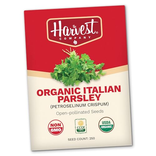The Harvest Company Organic Italian Parsley, Non-GMO, Certified USDA Organic, Open-Pollinated, Garden Seeds for Indoor Outdoor Planting, 250 Seeds