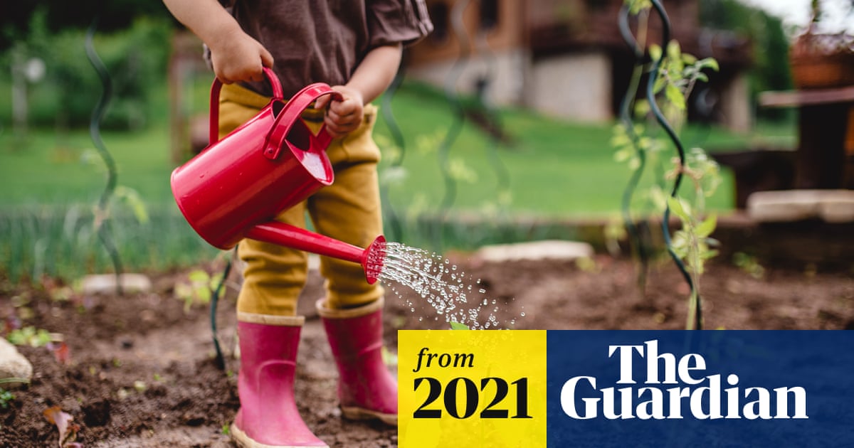 ‘All plants want to live – they are on your side’: a beginner’s guide to gardening | Gardening advice