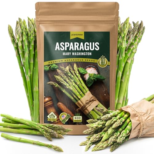 PLANTMEW Mary Washington Asparagus Seeds – 900 Seeds, Non-GMO Heirloom Organic Seeds with Planting Instructions for Outdoor Home Gardens