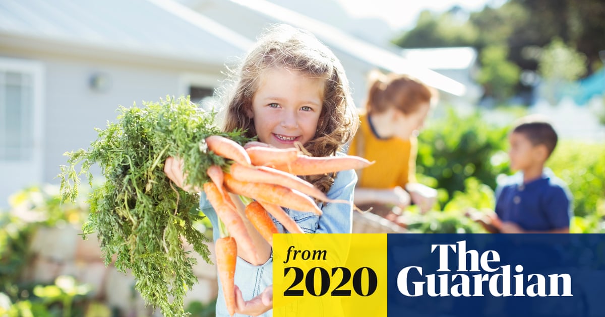 No soil, seeds or space? No problem! A beginner’s guide to growing vegetables | Gardening advice