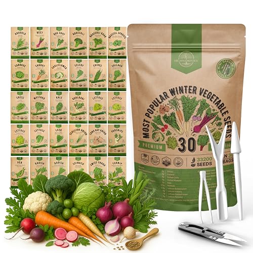 Organo Republic 30 Most Popular Winter Vegetable Garden Seeds Variety Pack- Outdoors/Indoor 33,200+ Non-GMO Heirloom Veggie Seeds Broccoli Beet Carrot Cabbage Chives Lettuce Radish Pea Spinach & More