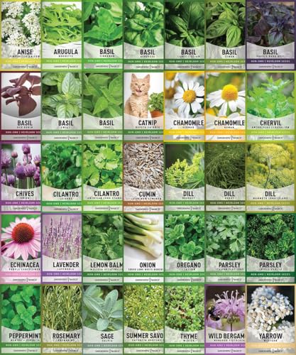 35 Medicinal & Culinary Herb Seeds Variety Pack – Heirloom Non-GMO Garden Kit for Indoor, Outdoor, or Greenhouse Growing – Apothecary, Tea & Cooking Herbs – Premium Gift for Gardeners & Homesteaders