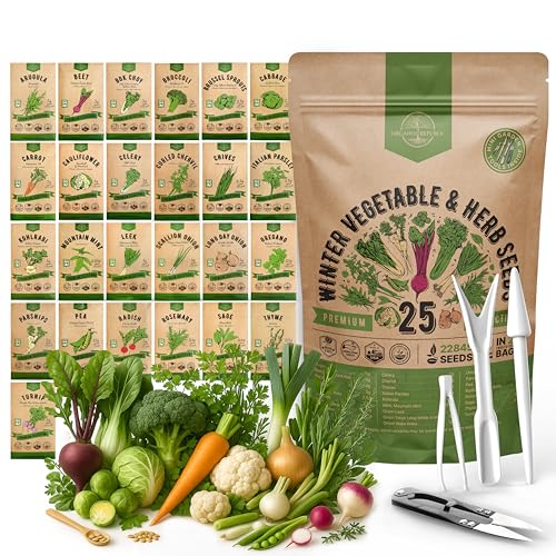 Organo Republic 25 Winter Vegetable & Herb Garden Seeds Variety Pack for Outdoors & Indoor Home Gardening 22,840+ Non-GMO Heirloom Seeds Broccoli Beet Carrot Cabbage Radish Pea Mint Thyme Parsley
