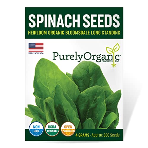 Organic Spinach Seeds (Bloomsdale Long Standing) – Approx 300 Seeds – USDA Organic, Non-GMO, Open Pollinated, Heirloom, USA Origin