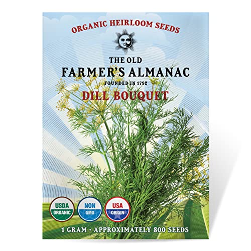 The Old Farmer’s Almanac Organic Dill (Bouquet) Seeds – Approx 750 Seeds – Certified Organic, Non-GMO, Open Pollinated, Heirloom, USA Origin