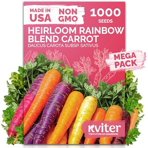 KVITER 1,000 Rainbow Carrot Seeds (Daucus Carota) – Baby Carrots Mix, Sweet & Tender Taste – Heirloom & Organic Carrots Seeds for Planting in Vegetable Garden, Raised Beds & Containers