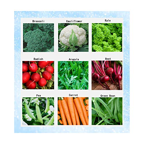 Premium Winter Vegetable Seeds Collection for Planting Organic Non-GMO Heirloom Seeds Radish, Pea, Broccoli, Beet, Carrot, Cauliflower, Green Bean, Kale, Arugula, Gardner and Chef Favorites