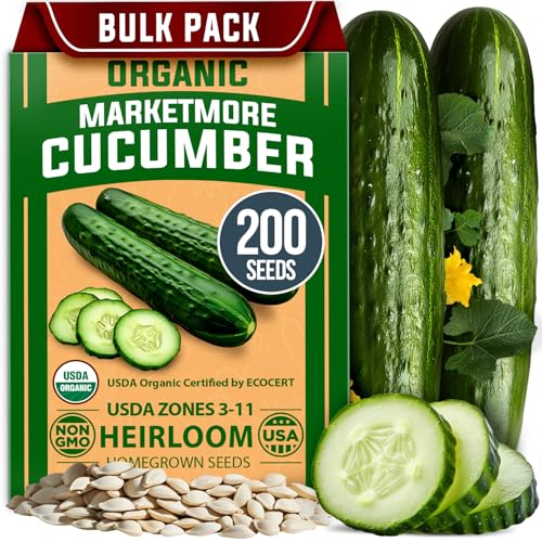 HOME GROWN 𝗨𝗦𝗔 𝗣𝗥𝗘𝗠𝗜𝗨𝗠 Organic Cucumber Seeds – 200 Marketmore Heirloom 𝗡𝗢𝗡-𝗚𝗠𝗢 Vegetable Seeds for Planting in Trellises, Raised Beds, Containers (Cucumis sativus)