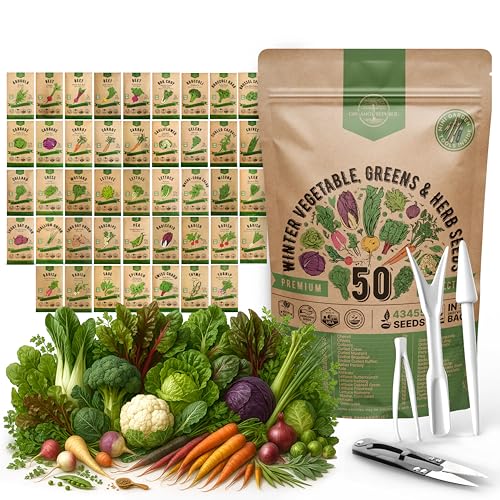50 Winter Vegetable Garden Seeds Variety Pack – 43,450+ Non-GMO Heirloom Seeds for Outdoors & Indoor Home Gardening, Including Kohlrabi, Lettuce, Radish, Onion, Choy, Spinach, Cauliflower, Collards