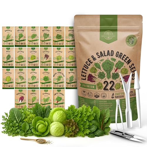 Organo Republic 22 Lettuce & Salad Greens Seeds Variety Pack 24,700+ Non-GMO Heirloom Lettuce Seeds for Indoor & Outdoor Garden, Hydroponics, Aerogarden – Arugula, Kale, Spinach, Swiss Chard, Lettuce
