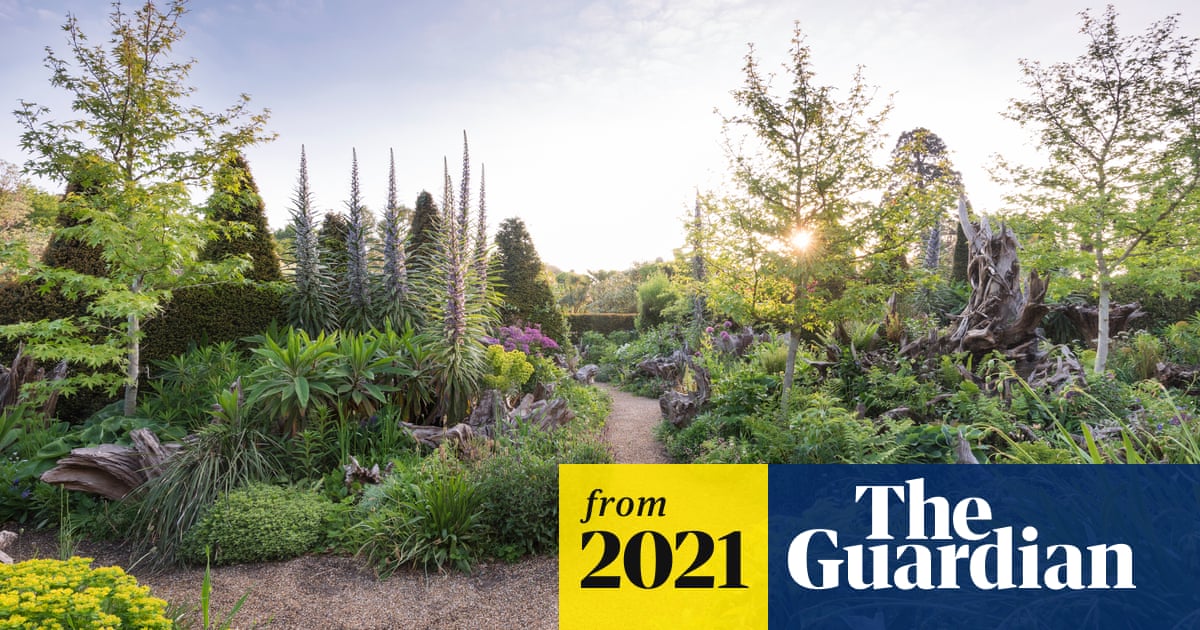 โUnorthodox and magicalโ: how tree stumps can transform your garden | Gardening advice