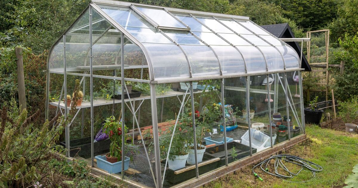 Warning issued to anyone with greenhouse in garden