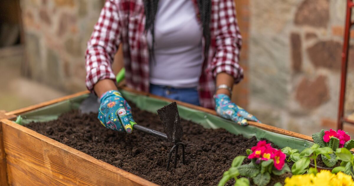 Grow the perfect flowerbed with ‘brilliant’ concept made easy for beginners