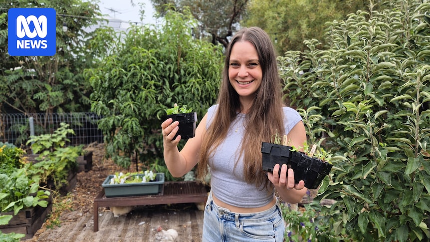 The herbs and vegetables that give me the most food in winter