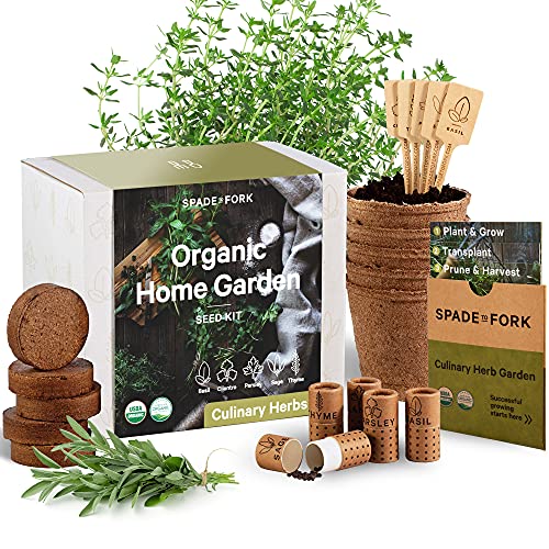 Organic Herb Garden Kit Indoor – Certified Organic & Made in USA | Herb Plants for Women and Men, Indoor Herb Garden Starter Kit, Herb Growing Kit Indoor, Plant Growing Kit, Herb Starter Kit Plant Kit