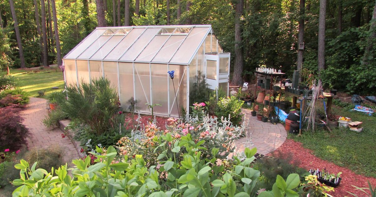 Any gardener with a greenhouse urged to do one thing this week