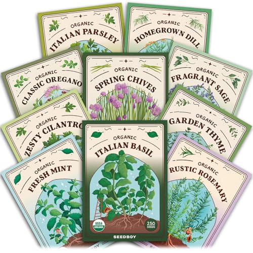 Seedboy Organic Non GMO 10 Herb Variety Pack: Basil, Cilantro Mint Oregano Parsley Thyme Chives Dill Sage Rosemary for Planting Indoor and Outdoor, 5460 USDA Certified Seeds (10 Herb Variety Pack)