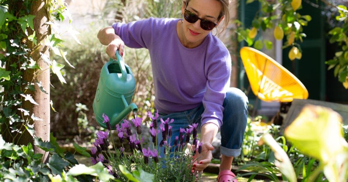 The one tip beginner gardeners should remember when starting out