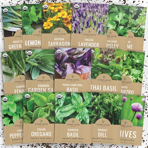 Organic Herb Seeds Variety Pack – 16 Individual Packs – 2025 Season – Basil, Cilantro, Dill, Thyme, Parsley and More! for Indoor & Outdoor Planting (Non-GMO, Certified Organic)
