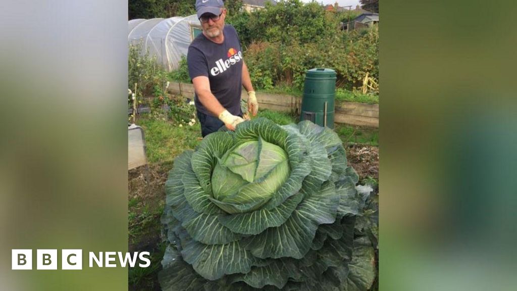 ‘How I grow my giant vegetables’