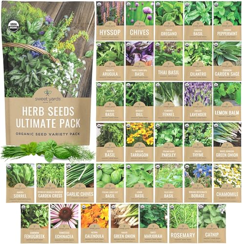 Organic Herb Seeds Variety Pack – 35 Individual Packs – 2025 Season – Basil, Cilantro, Dill, Thyme, Parsley and More! for Indoor & Outdoor Planting (Non-GMO, Certified Organic)