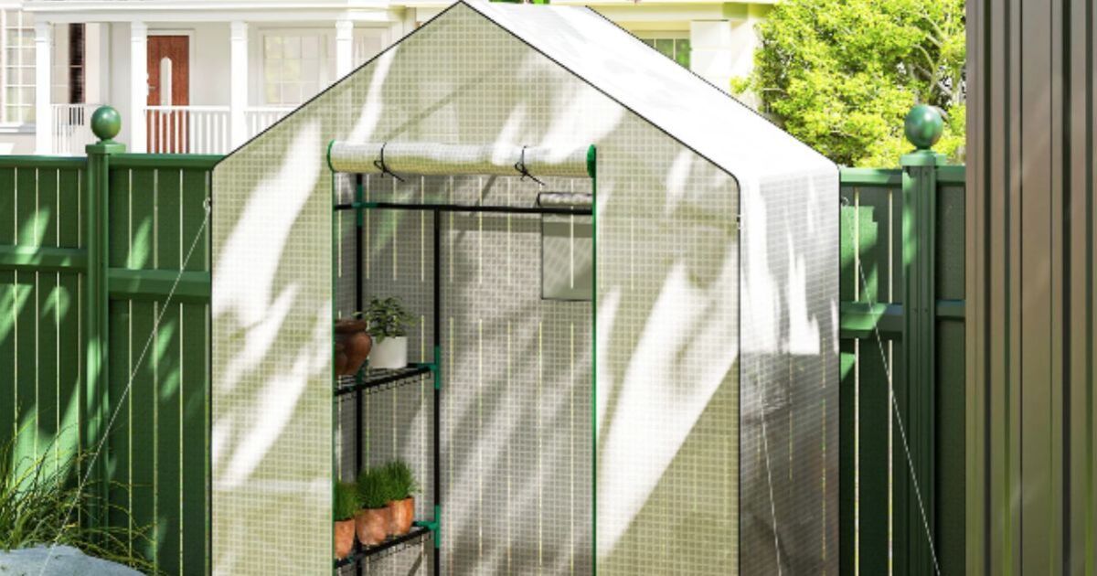 Mini greenhouse is ideal for smaller gardens and yards – on sale