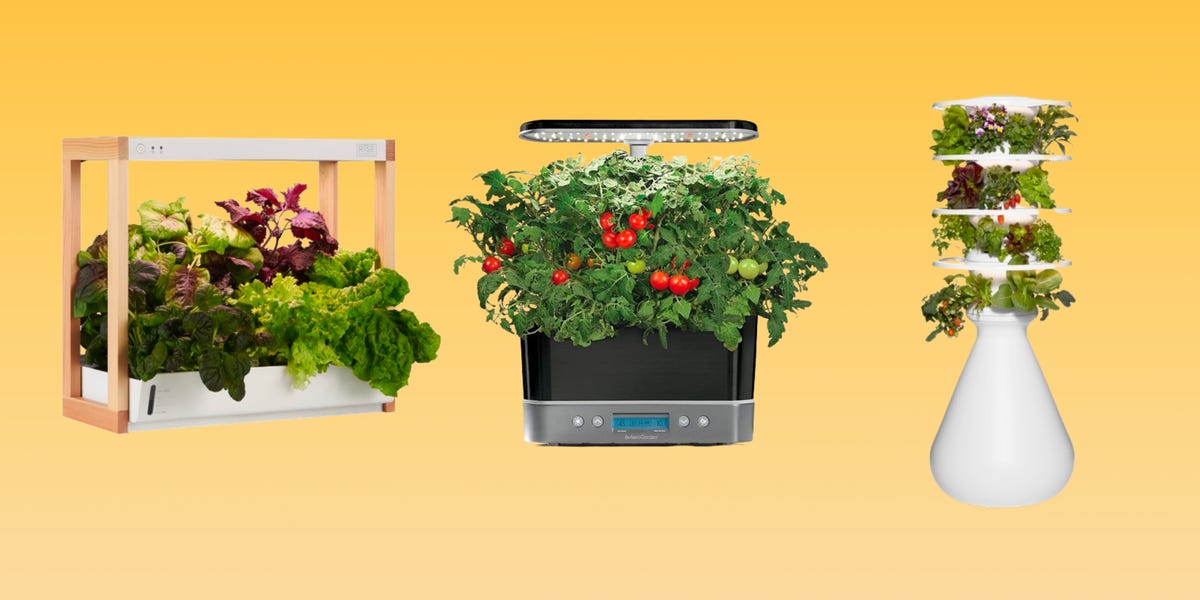 The 8 Best Indoor Herb Gardens