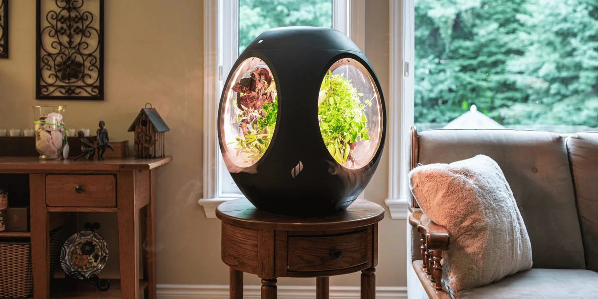 Plantaform Smart Indoor Garden Review 2025