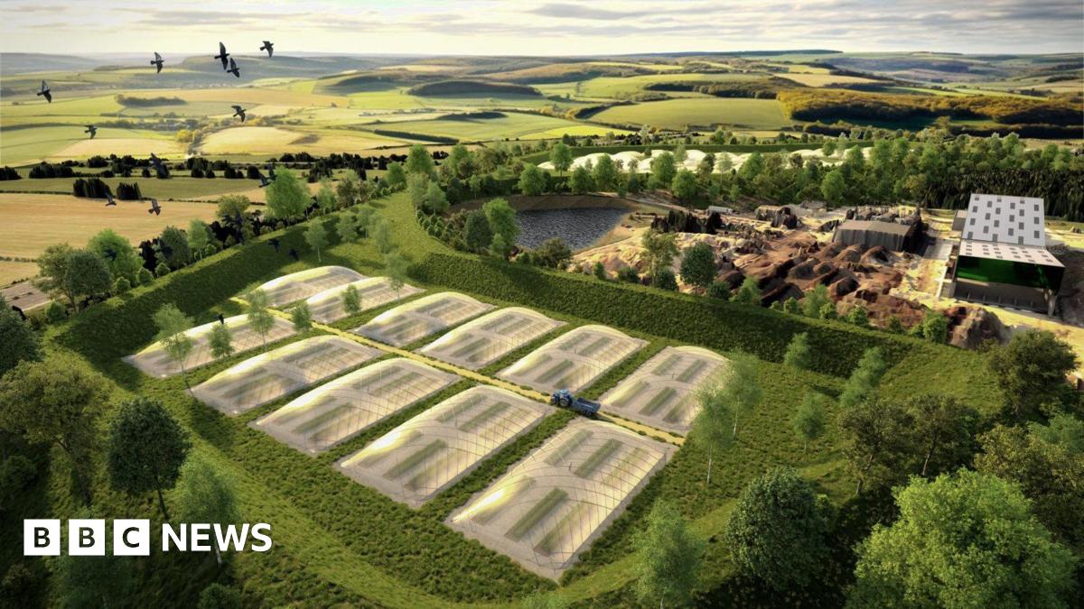 The ‘world-first’ plan to grow food above a Wiltshire landfill