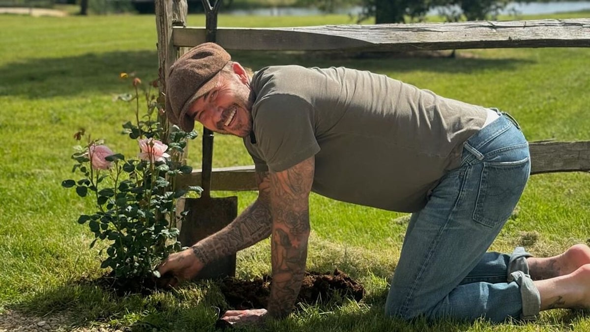 David Beckham shares ‘work in progress’ feature in mammoth Cotswolds garden โ and wow