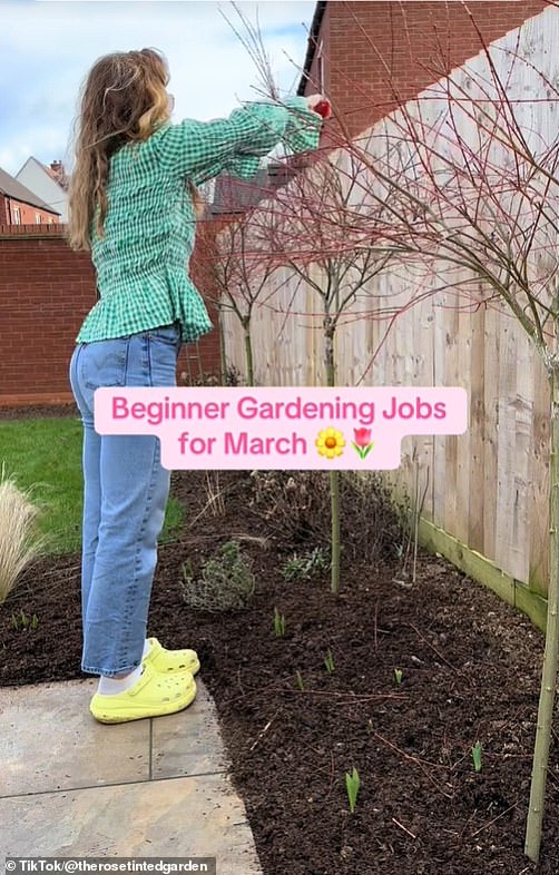 I’m a gardening enthusiast – these completely beginner-friendly jobs will transform your garden by summer