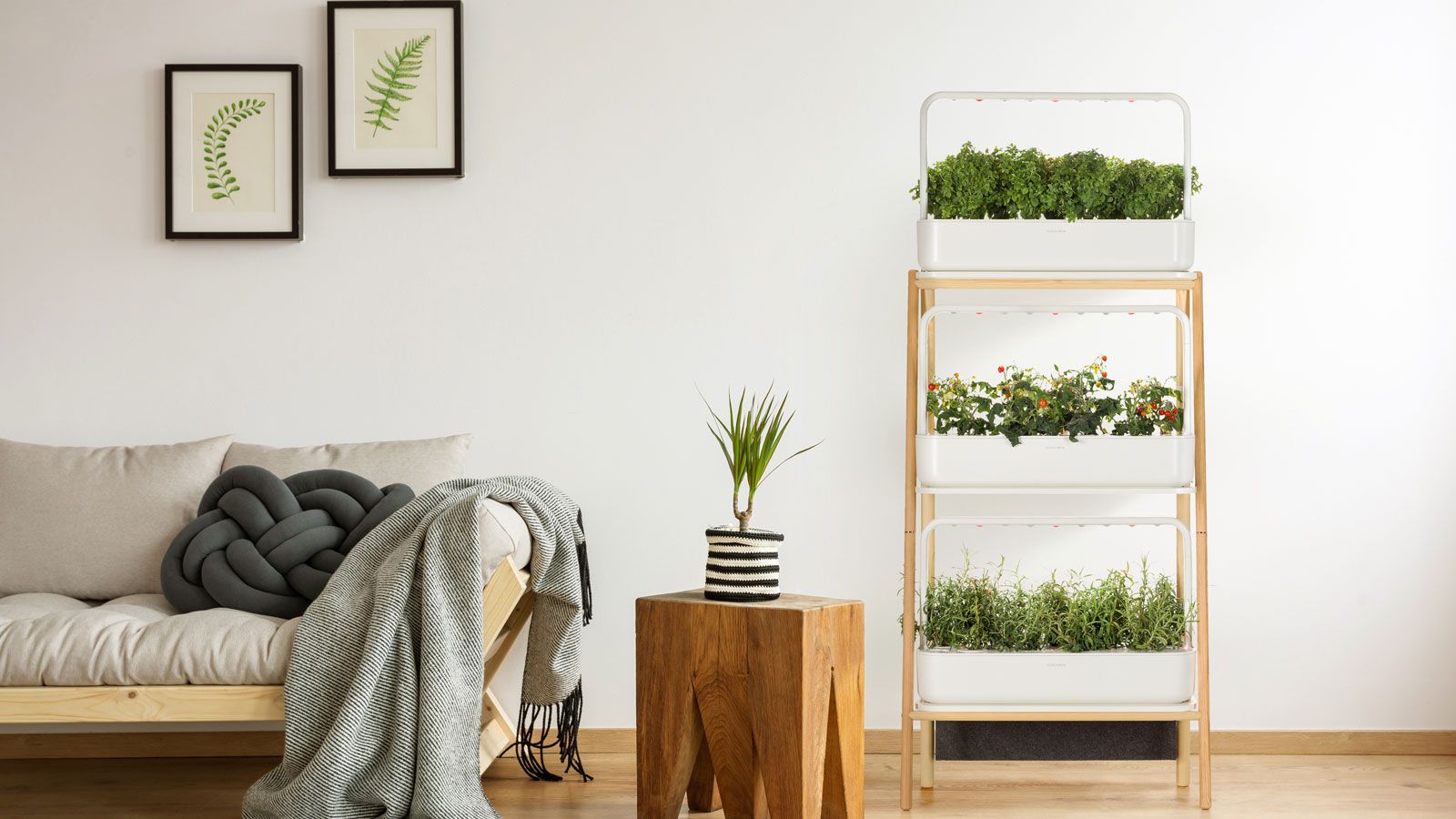 Apartment gardening for beginners – all you need to know to grow