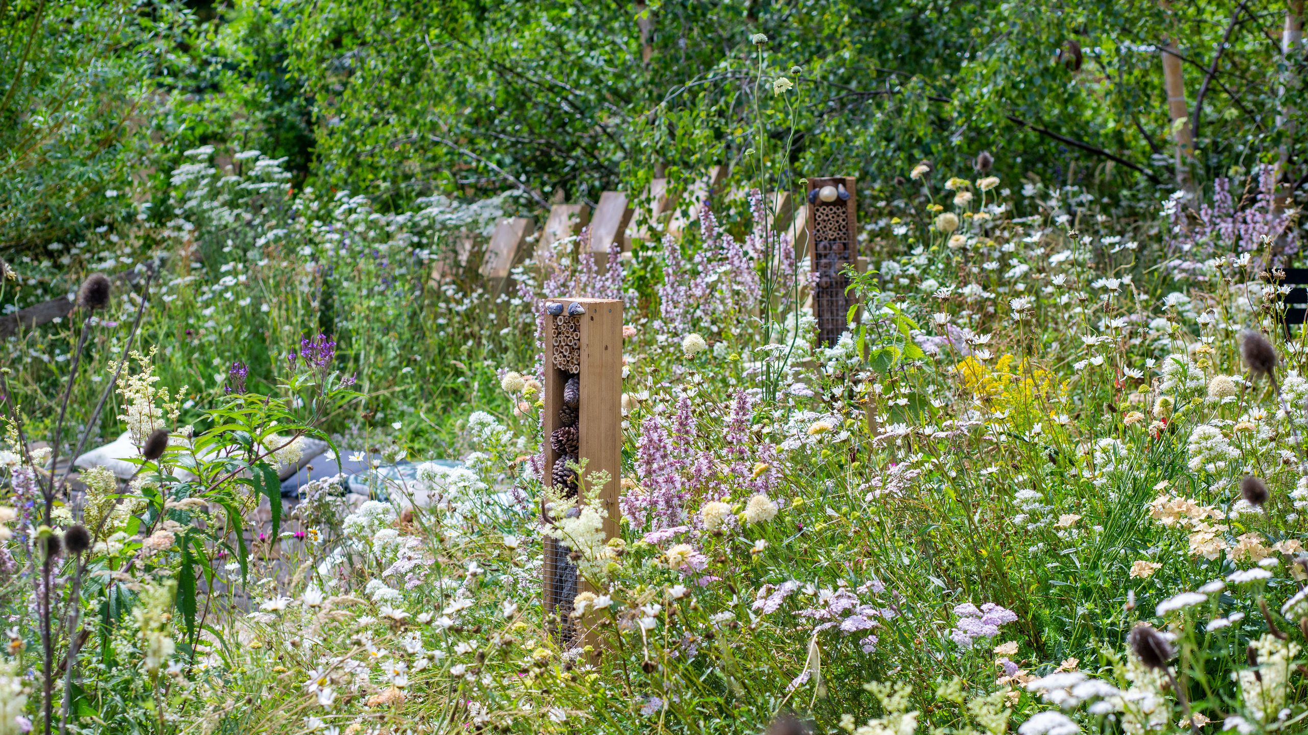 Wildlife garden ideas: turn a backyard into a natural haven