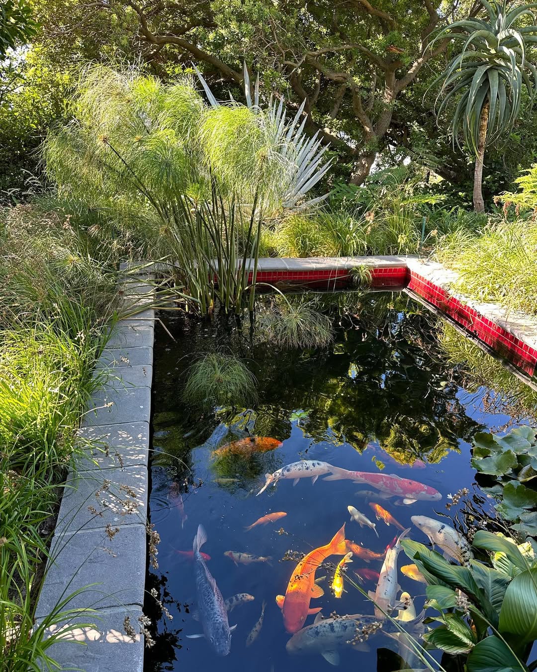 28 Obsession-Worthy Pond Ideas for Your Garden That Will Ruin Basic Landscaping Forever