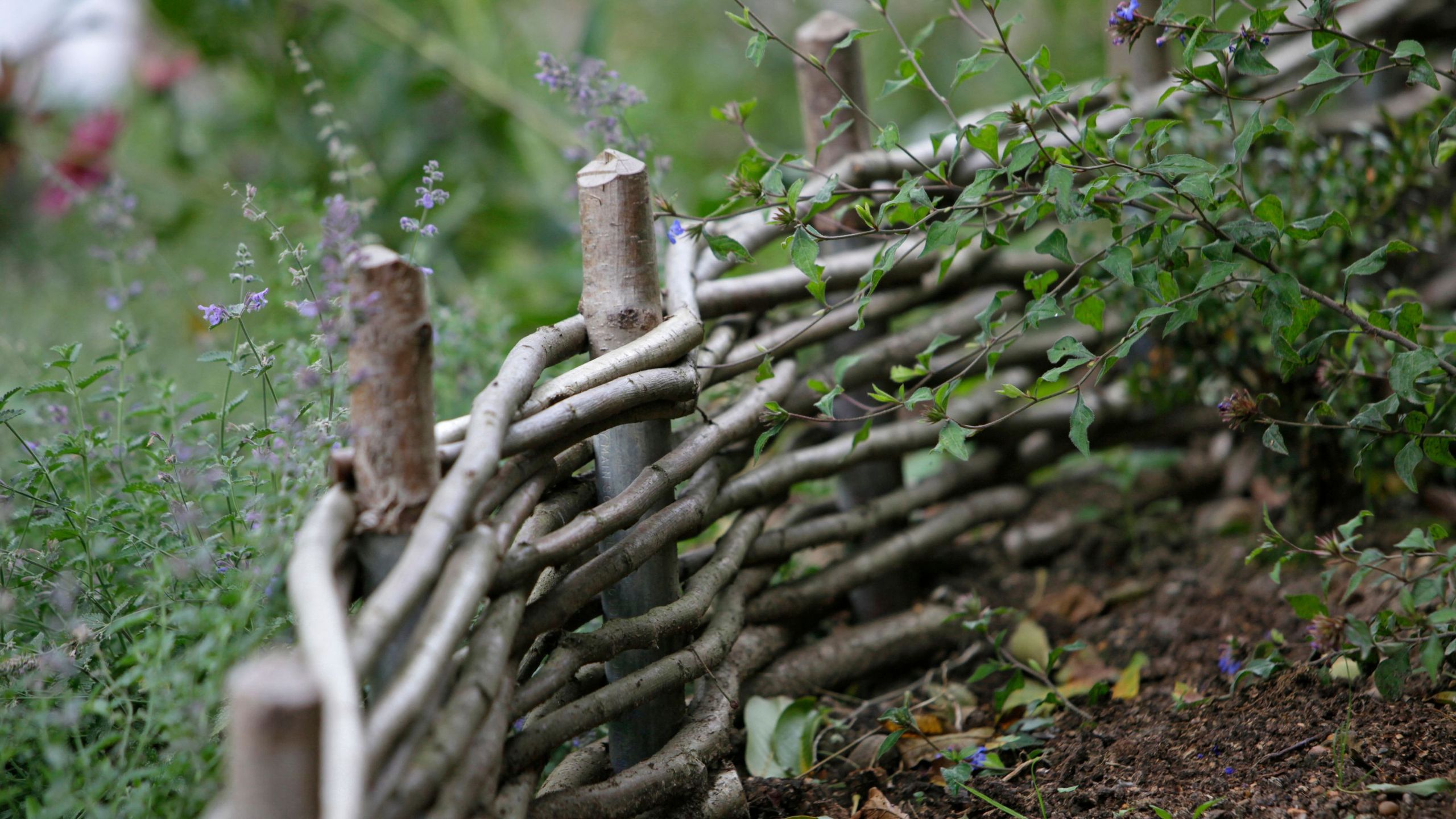 What is a dead hedge? An expert guide to a garden must-have