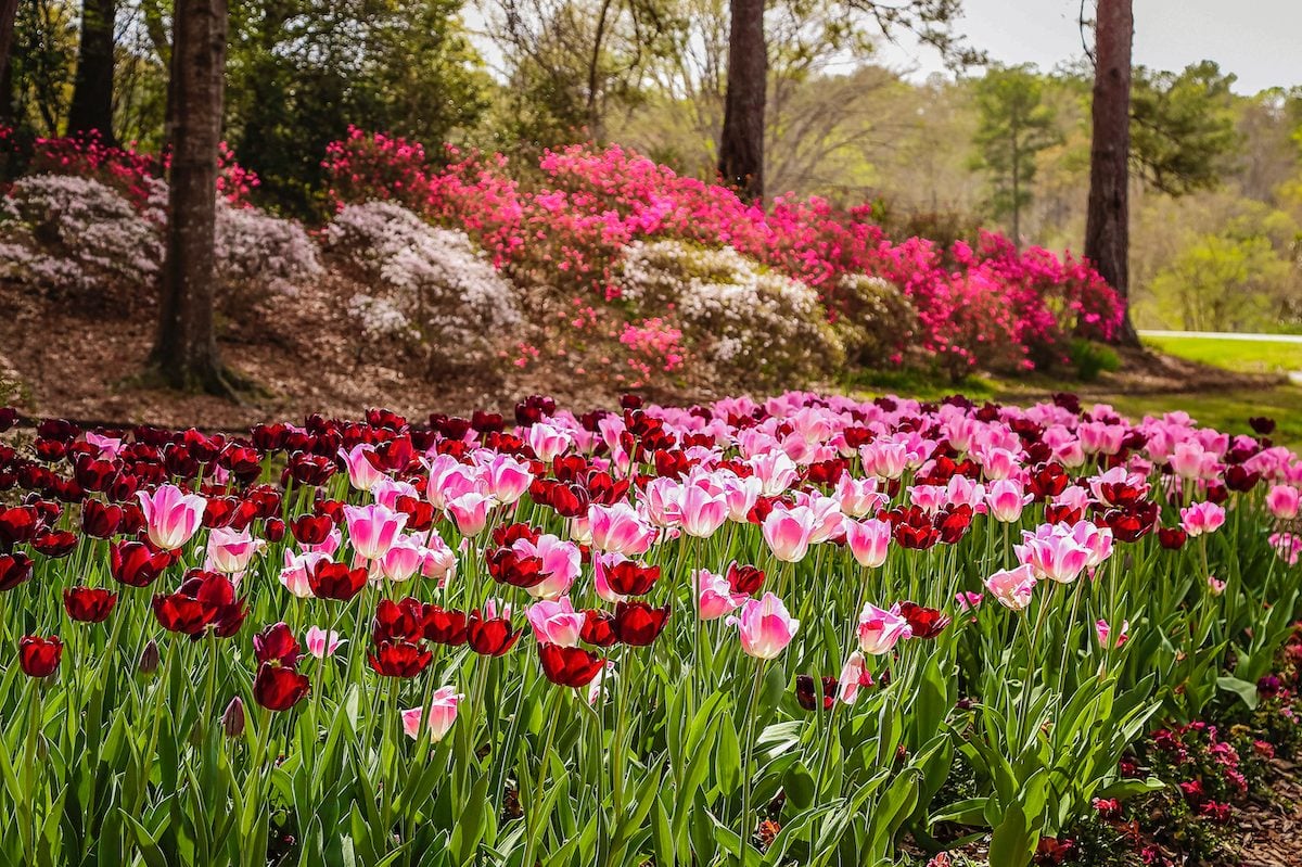 25 Secret Garden Tips We Learned From Grandma