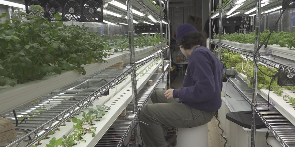 Vermont organization creates unique way to garden year-round