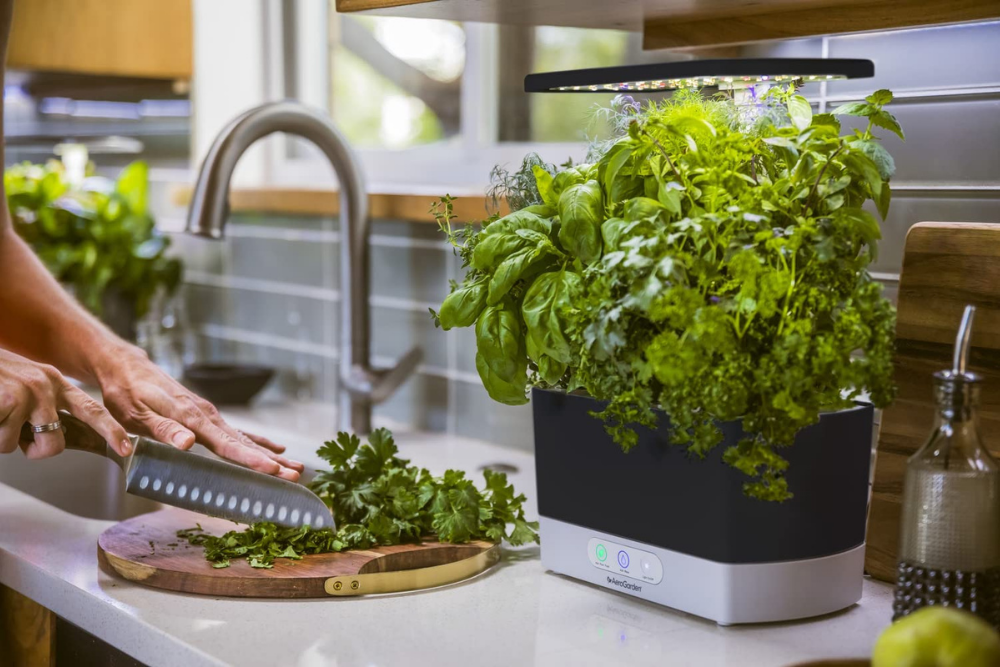 Hydroponic Gardeners, Rejoice: AeroGarden Is Back